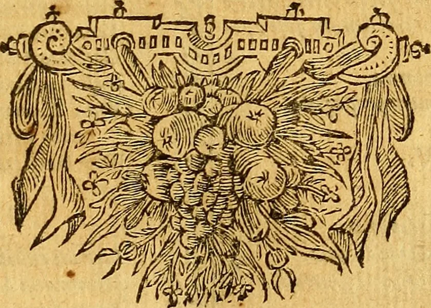 An illustration from Joannis Veslingii, equitus, professoris quondam Patavini, & c., Syntagma anatomicum, commentario atque appendice ex veterum, recentiorum, propriisque, observationibus, 1666, leaf 98