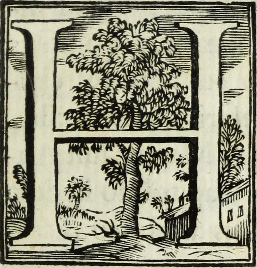 An illustration from Joannis Vignolii Petilianensis De columna Imperatoris Antonini Pii dissertatio, 1705, leaf 130