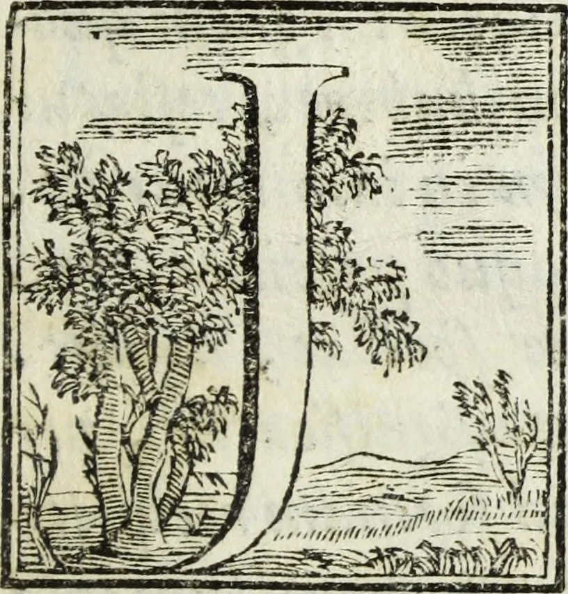 An illustration from Joannis Vignolii Petilianensis De columna Imperatoris Antonini Pii dissertatio, 1705, leaf 178