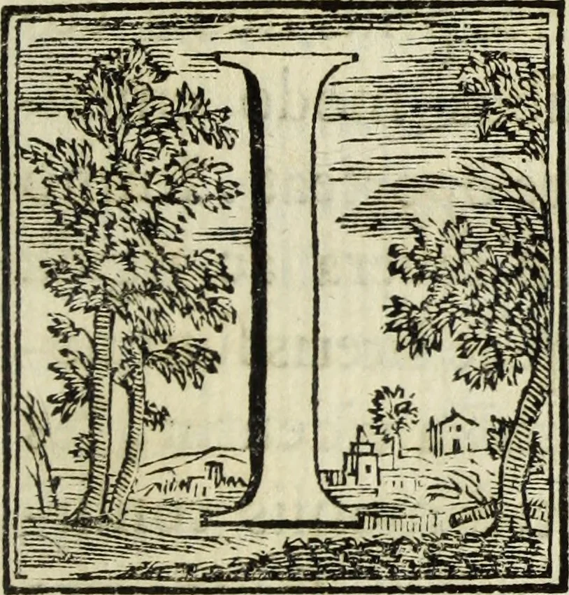 An illustration from Joannis Vignolii Petilianensis De columna Imperatoris Antonini Pii dissertatio, 1705, leaf 200