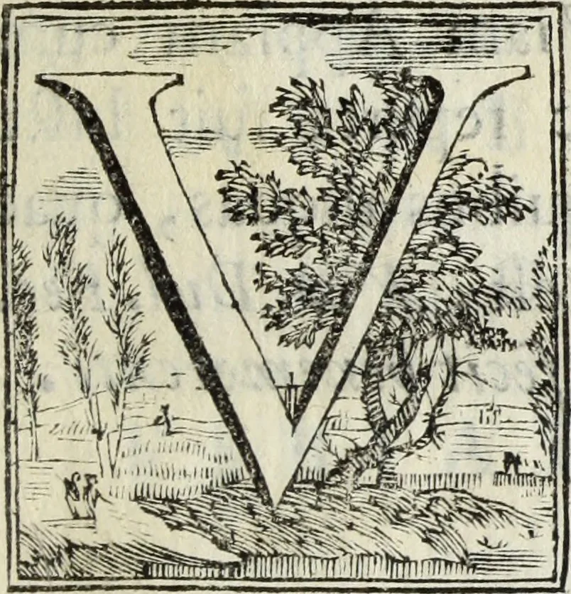 An illustration from Joannis Vignolii Petilianensis De columna Imperatoris Antonini Pii dissertatio, 1705, leaf 228