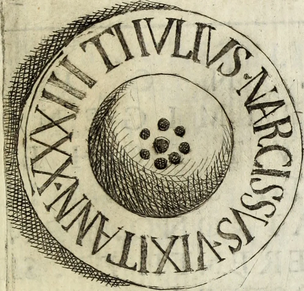 An illustration from Joannis Vignolii Petilianensis De columna Imperatoris Antonini Pii dissertatio, 1705, leaf 244