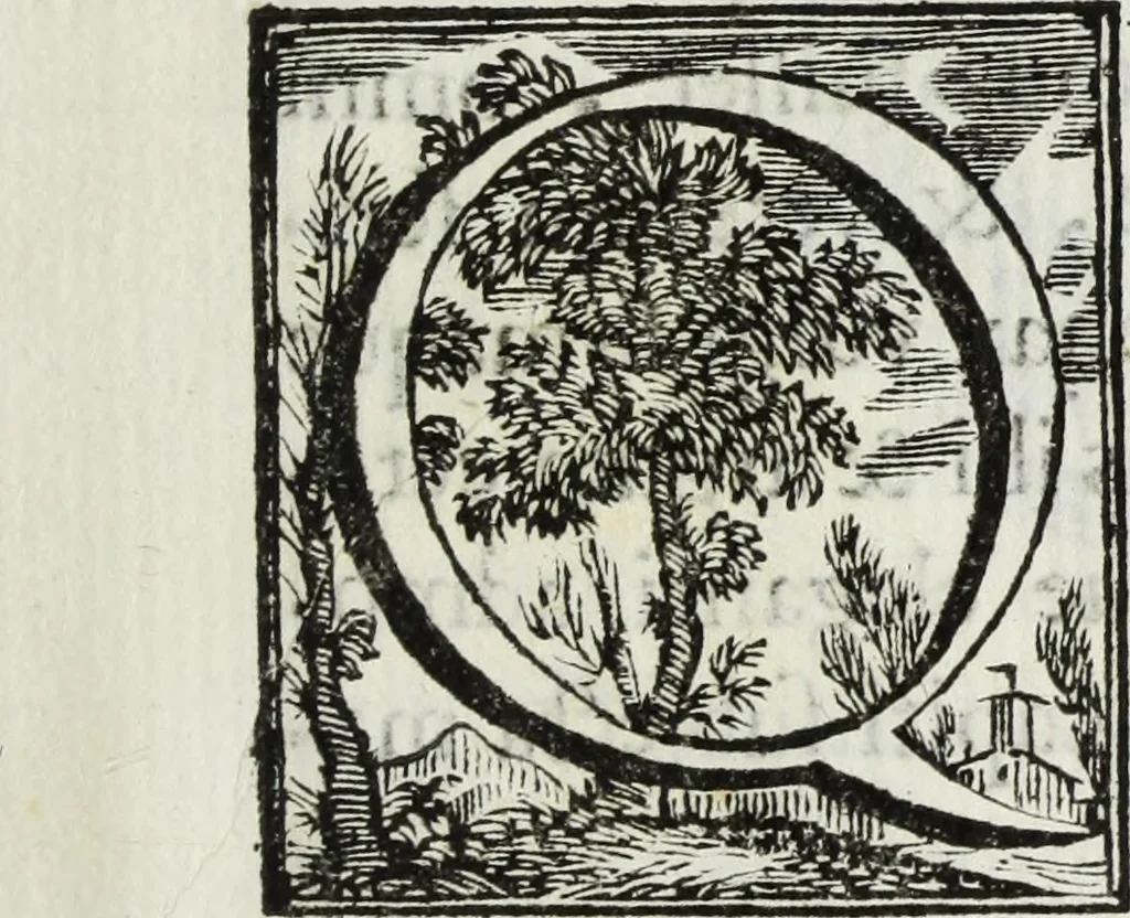 An illustration from Joannis Vignolii Petilianensis De columna Imperatoris Antonini Pii dissertatio, 1705, leaf 28