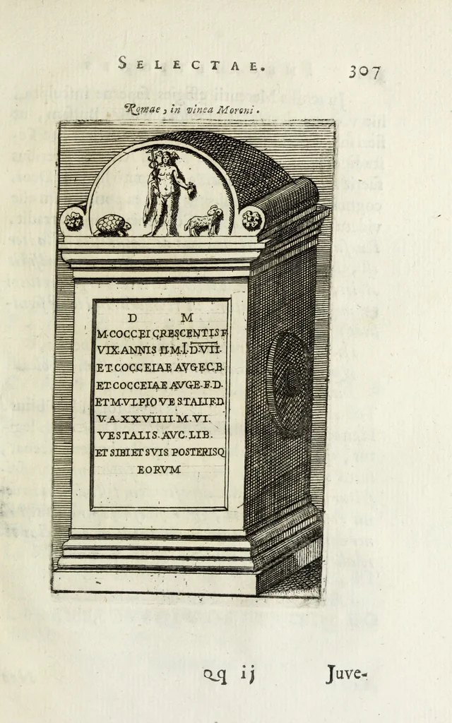 An illustration from Joannis Vignolii Petilianensis De columna Imperatoris Antonini Pii dissertatio, 1705, leaf 336