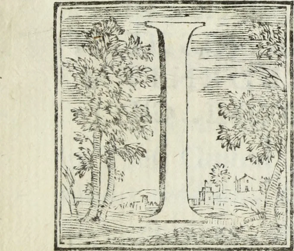 An illustration from Joannis Vignolii Petilianensis De columna Imperatoris Antonini Pii dissertatio, 1705, leaf 340