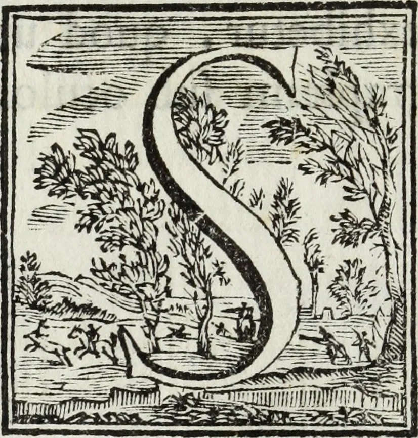 An illustration from Joannis Vignolii Petilianensis De columna Imperatoris Antonini Pii dissertatio, 1705, leaf 43