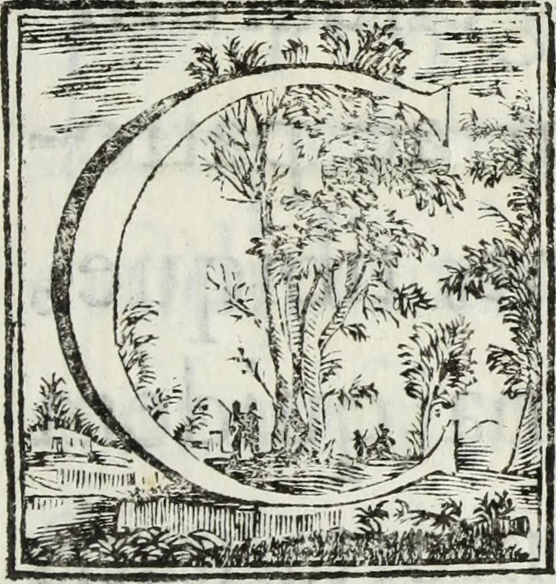 An illustration from Joannis Vignolii Petilianensis De columna Imperatoris Antonini Pii dissertatio, 1705, leaf 6