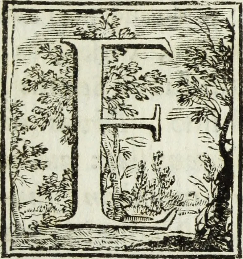 An illustration from Joannis Vignolii Petilianensis De columna Imperatoris Antonini Pii dissertatio, 1705, leaf 78