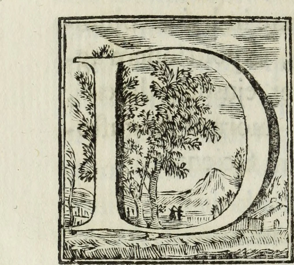 An illustration from Joannis Vignolii Petilianensis De columna Imperatoris Antonini Pii dissertatio, 1705, leaf 99