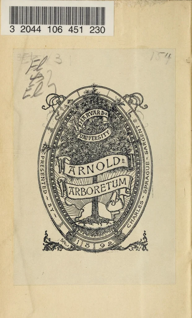 An illustration from Joan. Sigism. Elsholtii Flora marchica, sive Catalogus plantarum, quae partim in hortis electoralibus Marchiae Brandenburgicae primariis, Berolinensi, Aurangiburgico, & Potstamensi excoluntur: partim sua sponte passim proveniunt, 1663, leaf 2