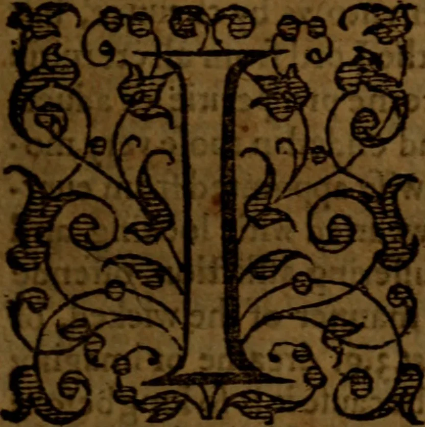 An illustration from Job expounded by Theodore Beza : partly in manner of a commentary, partly in manner of a paraphrase ; faithfully translated out of Latine into English, 1589, leaf 118