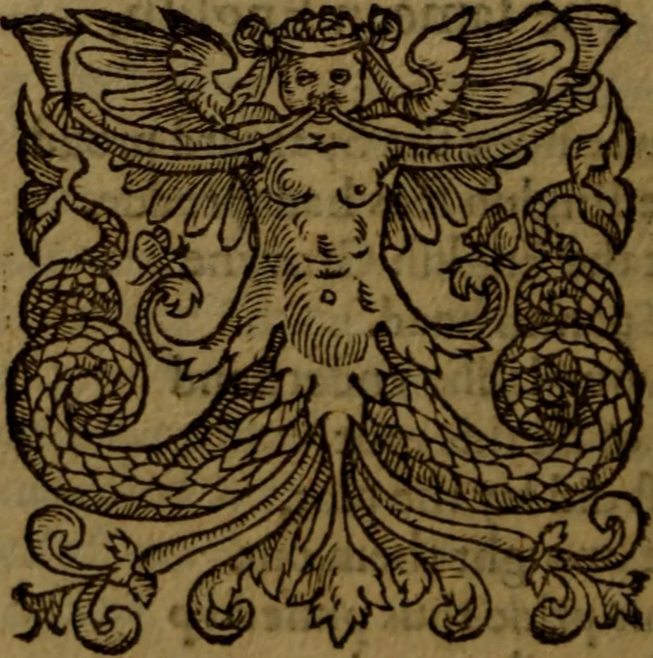 An illustration from Job expounded by Theodore Beza : partly in manner of a commentary, partly in manner of a paraphrase ; faithfully translated out of Latine into English, 1589, leaf 15