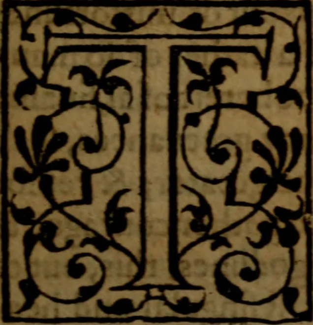 An illustration from Job expounded by Theodore Beza : partly in manner of a commentary, partly in manner of a paraphrase ; faithfully translated out of Latine into English, 1589, leaf 26
