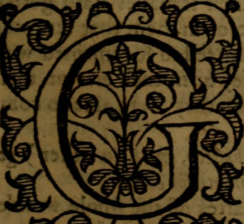 An illustration from Job expounded by Theodore Beza : partly in manner of a commentary, partly in manner of a paraphrase ; faithfully translated out of Latine into English, 1589, leaf 380