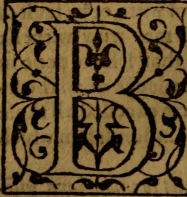 An illustration from Job expounded by Theodore Beza : partly in manner of a commentary, partly in manner of a paraphrase ; faithfully translated out of Latine into English, 1589, leaf 387