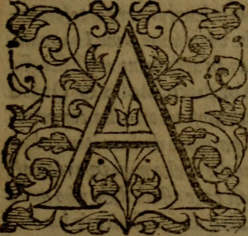 An illustration from Job expounded by Theodore Beza : partly in manner of a commentary, partly in manner of a paraphrase ; faithfully translated out of Latine into English, 1589, leaf 8