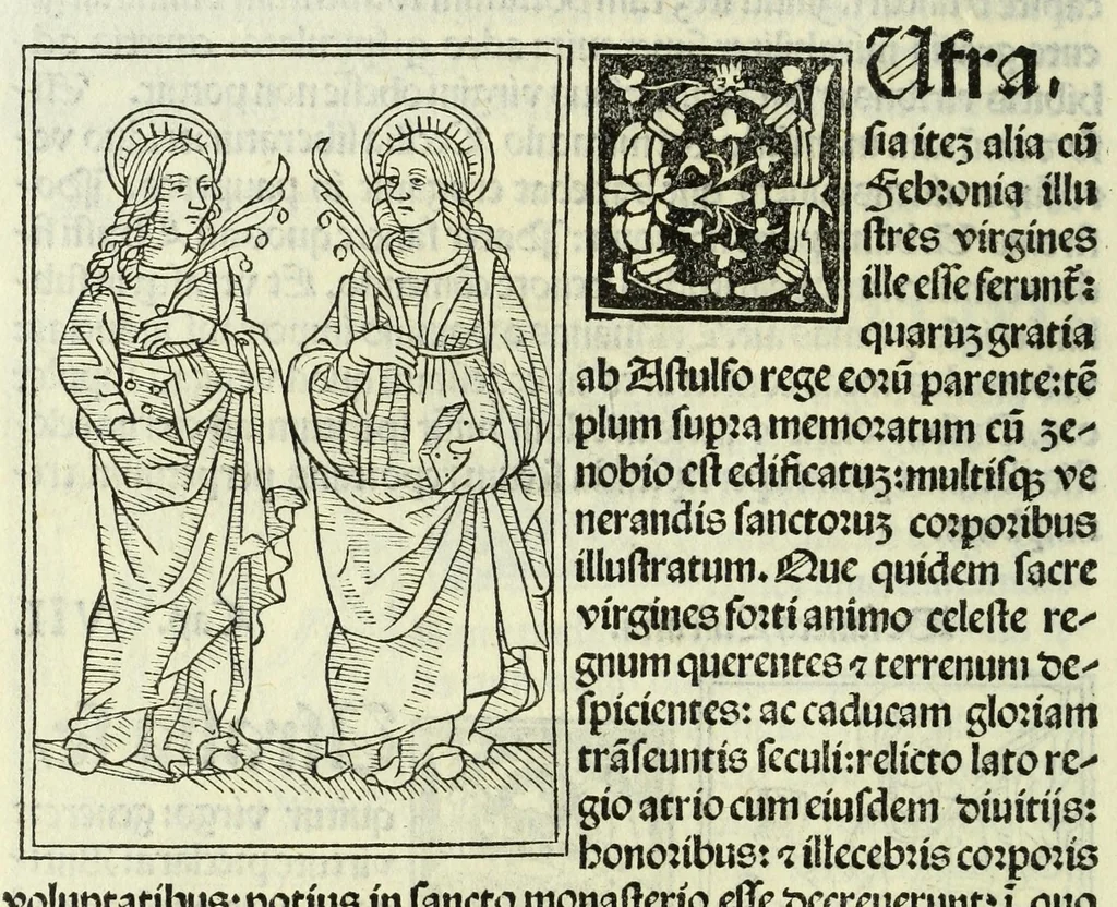 An illustration from Jocobi Gualle jureconsulti Papie sanctuarium, 1505, leaf 132