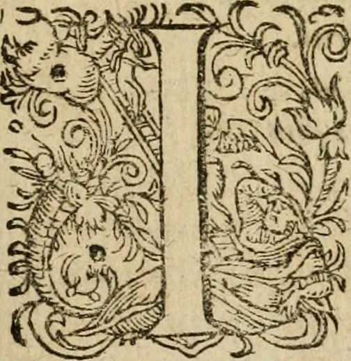 An illustration from Jocvs severvs, hoc est, Tribvnal aeqvvm, qvo noctva regina avivm, phoenice arbitro, post varias disceptationes et qverelas volucrum eam infestantium pronunciatur, & ob sapientiam singularem, Palladi sacrata agnoscitur, 1617, leaf 14