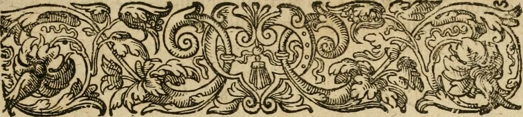 An illustration from Jocvs severvs, hoc est, Tribvnal aeqvvm, qvo noctva regina avivm, phoenice arbitro, post varias disceptationes et qverelas volucrum eam infestantium pronunciatur, & ob sapientiam singularem, Palladi sacrata agnoscitur, 1617, leaf 14