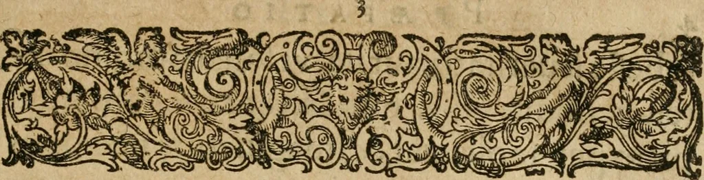 An illustration from Jocvs severvs, hoc est, Tribvnal aeqvvm, qvo noctva regina avivm, phoenice arbitro, post varias disceptationes et qverelas volucrum eam infestantium pronunciatur, & ob sapientiam singularem, Palladi sacrata agnoscitur, 1617, leaf 4