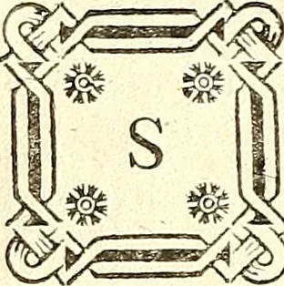 An illustration from Jo. Danielis Schoepflini consil. reg. ac Franciæ historiogr. : vindiciæ typographicæ, 1760, leaf 129