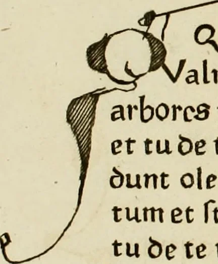An illustration from Jo. Danielis Schoepflini consil. reg. ac Franciæ historiogr. : vindiciæ typographicæ, 1760, leaf 186