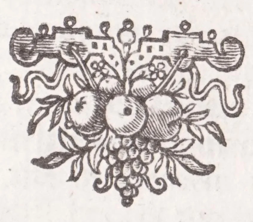 An illustration from Jodoci Sinceri Itinerarium Galliae : ita accommodatum, ut ejus ductu mediocri tempore tota Gallia obiri, Anglia & Belgium adiri possint : nec bis tèrve ad eadem loca rediri oporteat : notatis cujuscunque loci, quas vocant, deliciis : cum appendice, de Burdigala, ac iconibus vrbium praecipuarum illustratum, 1649, leaf 11