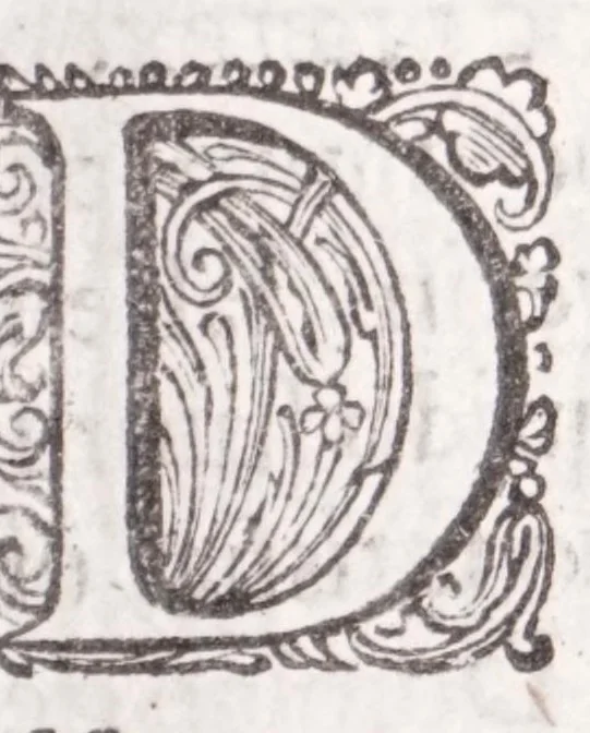 An illustration from Jodoci Sinceri Itinerarium Galliae : ita accommodatum, ut ejus ductu mediocri tempore tota Gallia obiri, Anglia & Belgium adiri possint : nec bis tèrve ad eadem loca rediri oporteat : notatis cujuscunque loci, quas vocant, deliciis : cum appendice, de Burdigala, ac iconibus vrbium praecipuarum illustratum, 1649, leaf 13
