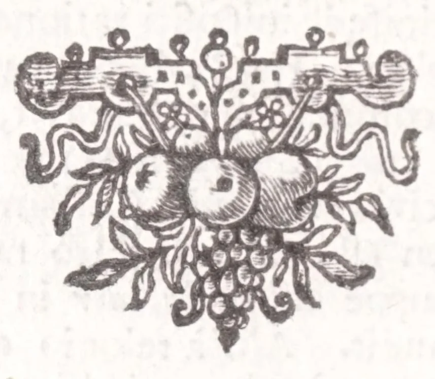 An illustration from Jodoci Sinceri Itinerarium Galliae : ita accommodatum, ut ejus ductu mediocri tempore tota Gallia obiri, Anglia & Belgium adiri possint : nec bis tèrve ad eadem loca rediri oporteat : notatis cujuscunque loci, quas vocant, deliciis : cum appendice, de Burdigala, ac iconibus vrbium praecipuarum illustratum, 1649, leaf 278