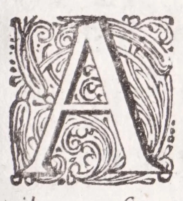 An illustration from Jodoci Sinceri Itinerarium Galliae : ita accommodatum, ut ejus ductu mediocri tempore tota Gallia obiri, Anglia & Belgium adiri possint : nec bis tèrve ad eadem loca rediri oporteat : notatis cujuscunque loci, quas vocant, deliciis : cum appendice, de Burdigala, ac iconibus vrbium praecipuarum illustratum, 1649, leaf 283