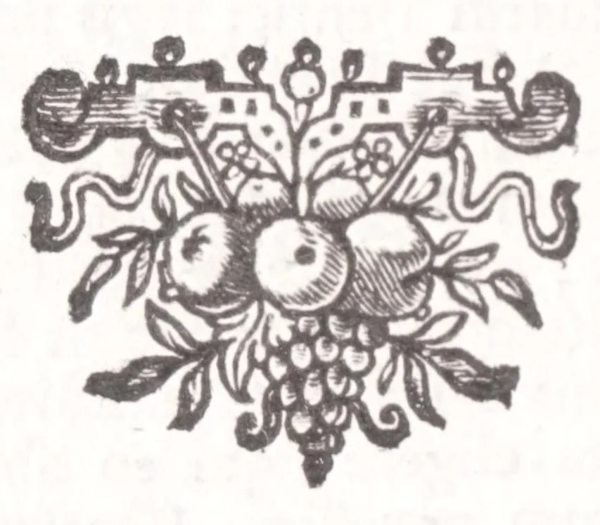 An illustration from Jodoci Sinceri Itinerarium Galliae : ita accommodatum, ut ejus ductu mediocri tempore tota Gallia obiri, Anglia & Belgium adiri possint : nec bis tèrve ad eadem loca rediri oporteat : notatis cujuscunque loci, quas vocant, deliciis : cum appendice, de Burdigala, ac iconibus vrbium praecipuarum illustratum, 1649, leaf 370