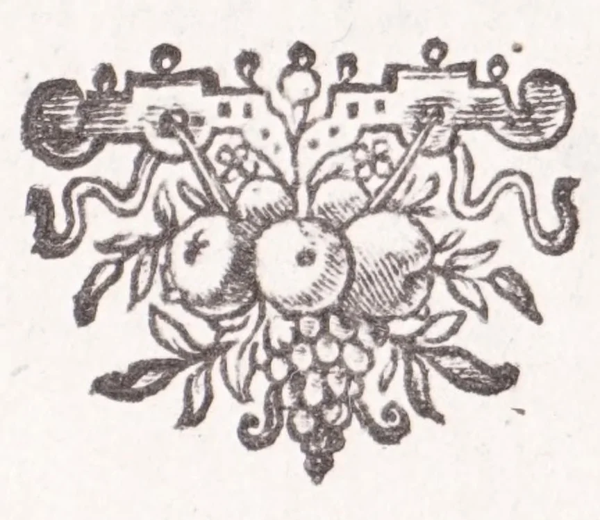 An illustration from Jodoci Sinceri Itinerarium Galliae : ita accommodatum, ut ejus ductu mediocri tempore tota Gallia obiri, Anglia & Belgium adiri possint : nec bis tèrve ad eadem loca rediri oporteat : notatis cujuscunque loci, quas vocant, deliciis : cum appendice, de Burdigala, ac iconibus vrbium praecipuarum illustratum, 1649, leaf 391