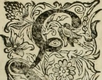 An illustration from Johan Nieuhofs Gedenkweerdige Brasiliaense zee- en lant- reize. : Behelzende al het geen op dezelve is voorgevallen. Beneffens een bondige beschrijving van gantsche Neerlants Brasil, zoo van lantschappen, steden, dieren, gewassen, als draghten, zeden en godsdienst der inwoonders: en ��inzonderheit ein wijtloopig verhael der merkwaardigste voorvallen en geschiedenissen, die zich, geduurende zijn negenjarigh verblijf in Brasil, in d'oorlogen en opstant der Portugesen tegen d'onzen, zich sedert het jaer 1640. tot 1649. hebben toegedragen. Door gaens verçiert met verscheide afbeeldingen, na't leven aldaer getekent, 1682, leaf 14