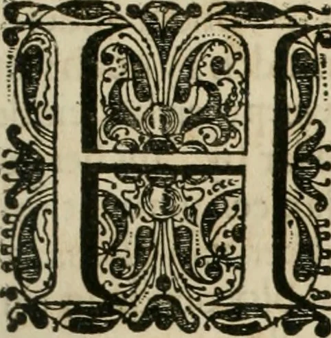 An illustration from Johan Nieuhofs Gedenkweerdige Brasiliaense zee- en lant- reize. : Behelzende al het geen op dezelve is voorgevallen. Beneffens een bondige beschrijving van gantsche Neerlants Brasil, zoo van lantschappen, steden, dieren, gewassen, als draghten, zeden en godsdienst der inwoonders: en ��inzonderheit ein wijtloopig verhael der merkwaardigste voorvallen en geschiedenissen, die zich, geduurende zijn negenjarigh verblijf in Brasil, in d'oorlogen en opstant der Portugesen tegen d'onzen, zich sedert het jaer 1640. tot 1649. hebben toegedragen. Door gaens verçiert met verscheide afbeeldingen, na't leven aldaer getekent, 1682, leaf 16