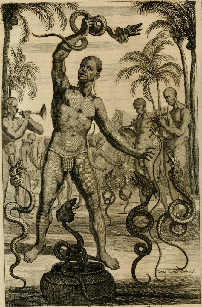 An illustration from Johan Nieuhofs Gedenkweerdige Brasiliaense zee- en lant- reize. : Behelzende al het geen op dezelve is voorgevallen. Beneffens een bondige beschrijving van gantsche Neerlants Brasil, zoo van lantschappen, steden, dieren, gewassen, als draghten, zeden en godsdienst der inwoonders: en ��inzonderheit ein wijtloopig verhael der merkwaardigste voorvallen en geschiedenissen, die zich, geduurende zijn negenjarigh verblijf in Brasil, in d'oorlogen en opstant der Portugesen tegen d'onzen, zich sedert het jaer 1640. tot 1649. hebben toegedragen. Door gaens verçiert met verscheide afbeeldingen, na't leven aldaer getekent, 1682, leaf 189