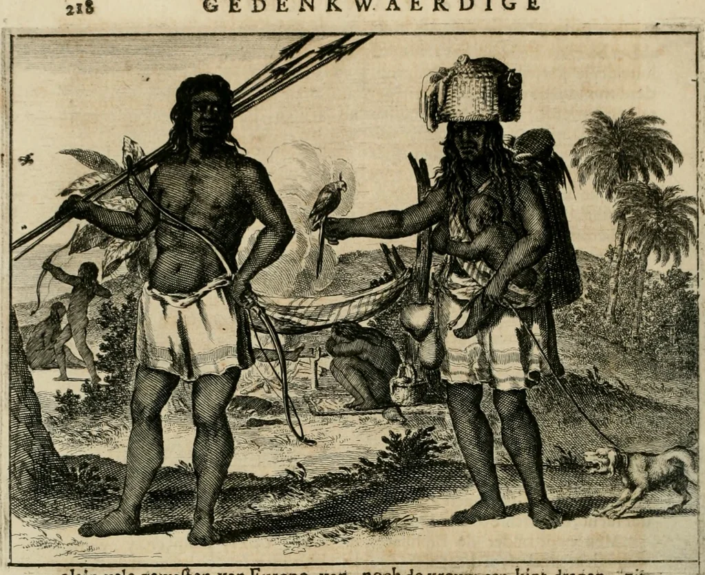 An illustration from Johan Nieuhofs Gedenkweerdige Brasiliaense zee- en lant- reize. : Behelzende al het geen op dezelve is voorgevallen. Beneffens een bondige beschrijving van gantsche Neerlants Brasil, zoo van lantschappen, steden, dieren, gewassen, als draghten, zeden en godsdienst der inwoonders: en ��inzonderheit ein wijtloopig verhael der merkwaardigste voorvallen en geschiedenissen, die zich, geduurende zijn negenjarigh verblijf in Brasil, in d'oorlogen en opstant der Portugesen tegen d'onzen, zich sedert het jaer 1640. tot 1649. hebben toegedragen. Door gaens verçiert met verscheide afbeeldingen, na't leven aldaer getekent, 1682, leaf 251