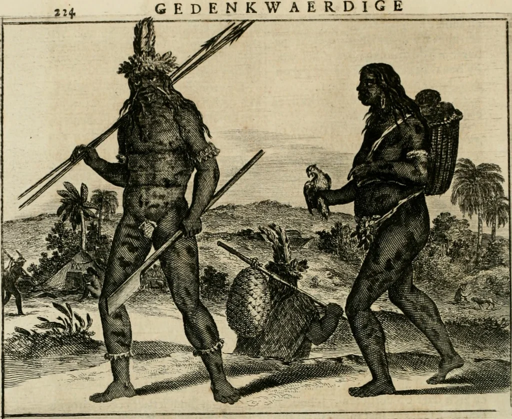 An illustration from Johan Nieuhofs Gedenkweerdige Brasiliaense zee- en lant- reize. : Behelzende al het geen op dezelve is voorgevallen. Beneffens een bondige beschrijving van gantsche Neerlants Brasil, zoo van lantschappen, steden, dieren, gewassen, als draghten, zeden en godsdienst der inwoonders: en ��inzonderheit ein wijtloopig verhael der merkwaardigste voorvallen en geschiedenissen, die zich, geduurende zijn negenjarigh verblijf in Brasil, in d'oorlogen en opstant der Portugesen tegen d'onzen, zich sedert het jaer 1640. tot 1649. hebben toegedragen. Door gaens verçiert met verscheide afbeeldingen, na't leven aldaer getekent, 1682, leaf 257