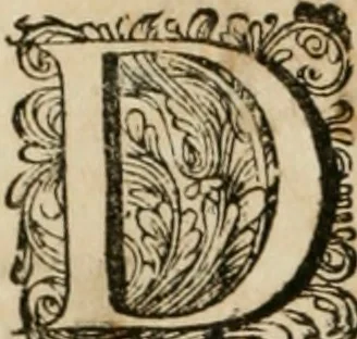 An illustration from Johan Nieuhofs Gedenkweerdige Brasiliaense zee- en lant- reize. : Behelzende al het geen op dezelve is voorgevallen. Beneffens een bondige beschrijving van gantsche Neerlants Brasil, zoo van lantschappen, steden, dieren, gewassen, als draghten, zeden en godsdienst der inwoonders: en ��inzonderheit ein wijtloopig verhael der merkwaardigste voorvallen en geschiedenissen, die zich, geduurende zijn negenjarigh verblijf in Brasil, in d'oorlogen en opstant der Portugesen tegen d'onzen, zich sedert het jaer 1640. tot 1649. hebben toegedragen. Door gaens verçiert met verscheide afbeeldingen, na't leven aldaer getekent, 1682, leaf 275