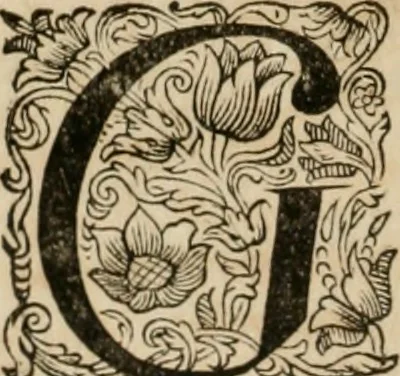An illustration from Johan Nieuhofs Gedenkweerdige Brasiliaense zee- en lant- reize. : Behelzende al het geen op dezelve is voorgevallen. Beneffens een bondige beschrijving van gantsche Neerlants Brasil, zoo van lantschappen, steden, dieren, gewassen, als draghten, zeden en godsdienst der inwoonders: en ��inzonderheit ein wijtloopig verhael der merkwaardigste voorvallen en geschiedenissen, die zich, geduurende zijn negenjarigh verblijf in Brasil, in d'oorlogen en opstant der Portugesen tegen d'onzen, zich sedert het jaer 1640. tot 1649. hebben toegedragen. Door gaens verçiert met verscheide afbeeldingen, na't leven aldaer getekent, 1682, leaf 275