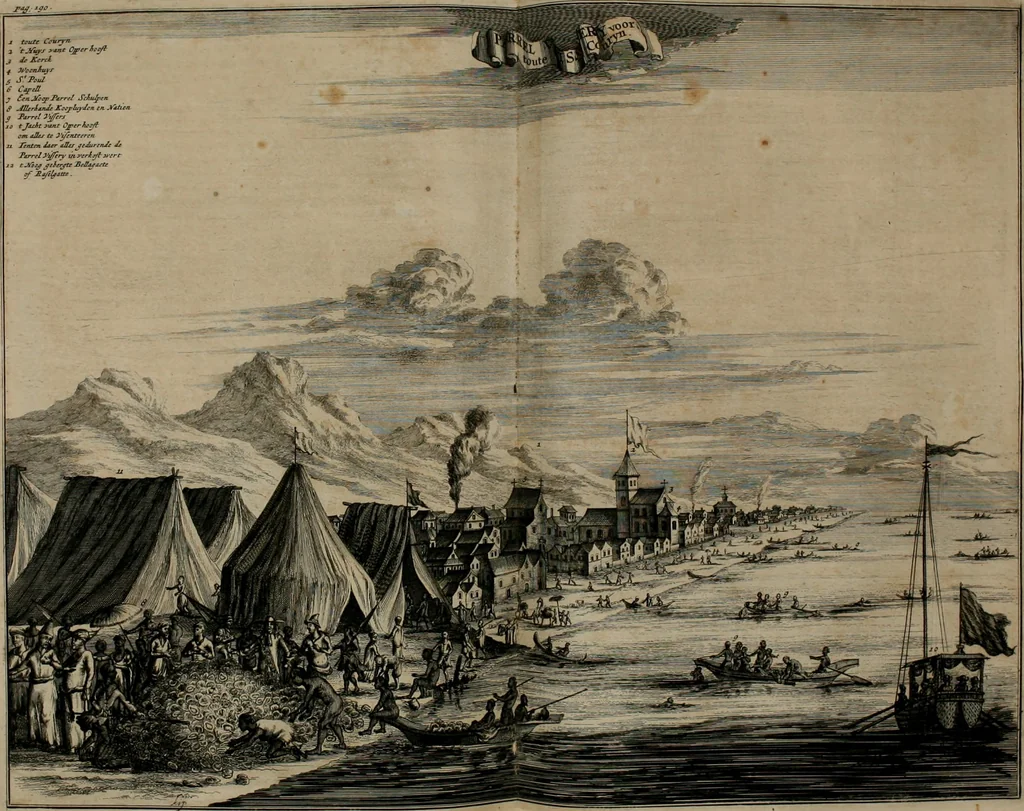 An illustration from Johan Nieuhofs Gedenkweerdige Brasiliaense zee- en lant- reize. : Behelzende al het geen op dezelve is voorgevallen. Beneffens een bondige beschrijving van gantsche Neerlants Brasil, zoo van lantschappen, steden, dieren, gewassen, als draghten, zeden en godsdienst der inwoonders: en ��inzonderheit ein wijtloopig verhael der merkwaardigste voorvallen en geschiedenissen, die zich, geduurende zijn negenjarigh verblijf in Brasil, in d'oorlogen en opstant der Portugesen tegen d'onzen, zich sedert het jaer 1640. tot 1649. hebben toegedragen. Door gaens verçiert met verscheide afbeeldingen, na't leven aldaer getekent, 1682, leaf 491