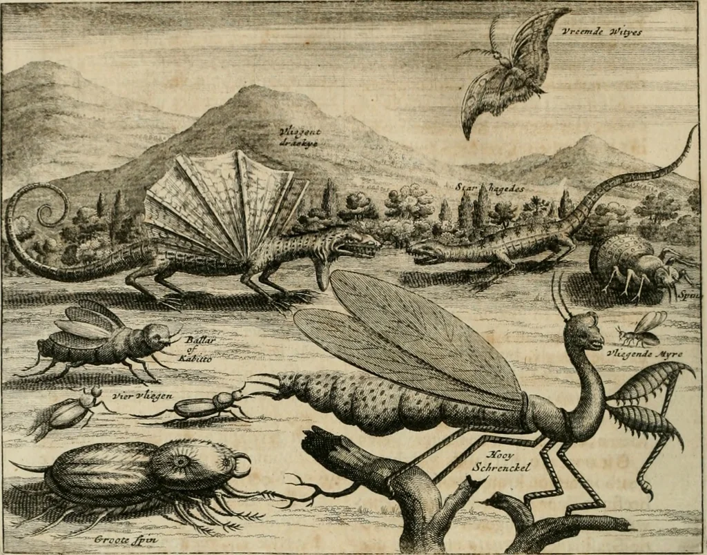 An illustration from Johan Nieuhofs Gedenkweerdige Brasiliaense zee- en lant- reize. : Behelzende al het geen op dezelve is voorgevallen. Beneffens een bondige beschrijving van gantsche Neerlants Brasil, zoo van lantschappen, steden, dieren, gewassen, als draghten, zeden en godsdienst der inwoonders: en ��inzonderheit ein wijtloopig verhael der merkwaardigste voorvallen en geschiedenissen, die zich, geduurende zijn negenjarigh verblijf in Brasil, in d'oorlogen en opstant der Portugesen tegen d'onzen, zich sedert het jaer 1640. tot 1649. hebben toegedragen. Door gaens verçiert met verscheide afbeeldingen, na't leven aldaer getekent, 1682, leaf 51