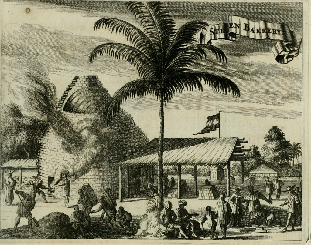 An illustration from Johan Nieuhofs Gedenkweerdige Brasiliaense zee- en lant- reize. : Behelzende al het geen op dezelve is voorgevallen. Beneffens een bondige beschrijving van gantsche Neerlants Brasil, zoo van lantschappen, steden, dieren, gewassen, als draghten, zeden en godsdienst der inwoonders: en ��inzonderheit ein wijtloopig verhael der merkwaardigste voorvallen en geschiedenissen, die zich, geduurende zijn negenjarigh verblijf in Brasil, in d'oorlogen en opstant der Portugesen tegen d'onzen, zich sedert het jaer 1640. tot 1649. hebben toegedragen. Door gaens verçiert met verscheide afbeeldingen, na't leven aldaer getekent, 1682, leaf 530