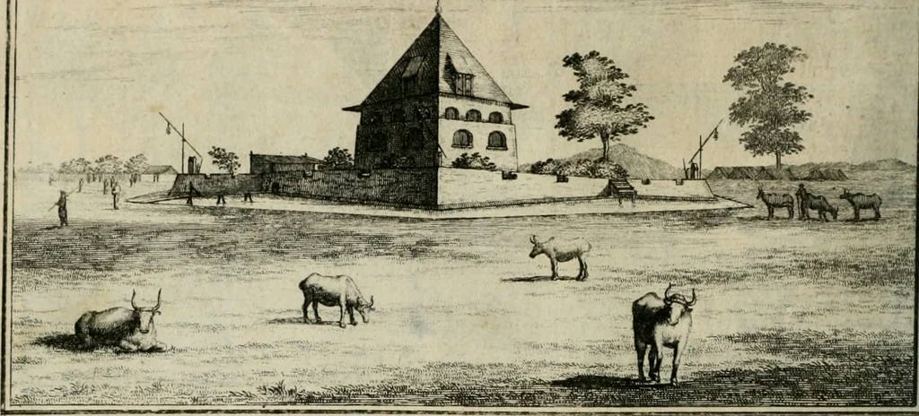 An illustration from Johan Nieuhofs Gedenkweerdige Brasiliaense zee- en lant- reize. : Behelzende al het geen op dezelve is voorgevallen. Beneffens een bondige beschrijving van gantsche Neerlants Brasil, zoo van lantschappen, steden, dieren, gewassen, als draghten, zeden en godsdienst der inwoonders: en ��inzonderheit ein wijtloopig verhael der merkwaardigste voorvallen en geschiedenissen, die zich, geduurende zijn negenjarigh verblijf in Brasil, in d'oorlogen en opstant der Portugesen tegen d'onzen, zich sedert het jaer 1640. tot 1649. hebben toegedragen. Door gaens verçiert met verscheide afbeeldingen, na't leven aldaer getekent, 1682, leaf 533