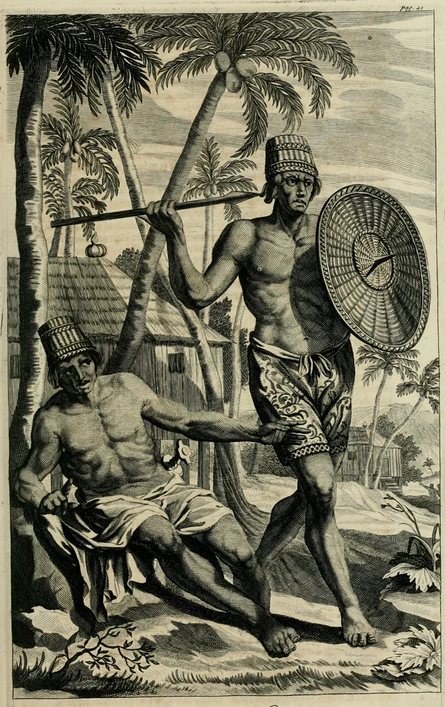 An illustration from Johan Nieuhofs Gedenkweerdige Brasiliaense zee- en lant- reize. : Behelzende al het geen op dezelve is voorgevallen. Beneffens een bondige beschrijving van gantsche Neerlants Brasil, zoo van lantschappen, steden, dieren, gewassen, als draghten, zeden en godsdienst der inwoonders: en ��inzonderheit ein wijtloopig verhael der merkwaardigste voorvallen en geschiedenissen, die zich, geduurende zijn negenjarigh verblijf in Brasil, in d'oorlogen en opstant der Portugesen tegen d'onzen, zich sedert het jaer 1640. tot 1649. hebben toegedragen. Door gaens verçiert met verscheide afbeeldingen, na't leven aldaer getekent, 1682, leaf 558