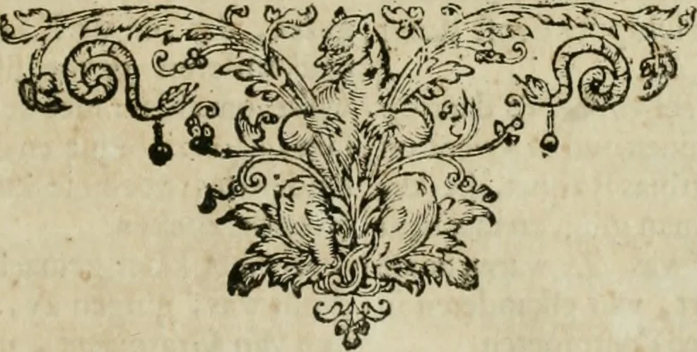 An illustration from Johan Nieuhofs Gedenkweerdige Brasiliaense zee- en lant- reize. : Behelzende al het geen op dezelve is voorgevallen. Beneffens een bondige beschrijving van gantsche Neerlants Brasil, zoo van lantschappen, steden, dieren, gewassen, als draghten, zeden en godsdienst der inwoonders: en ��inzonderheit ein wijtloopig verhael der merkwaardigste voorvallen en geschiedenissen, die zich, geduurende zijn negenjarigh verblijf in Brasil, in d'oorlogen en opstant der Portugesen tegen d'onzen, zich sedert het jaer 1640. tot 1649. hebben toegedragen. Door gaens verçiert met verscheide afbeeldingen, na't leven aldaer getekent, 1682, leaf 660