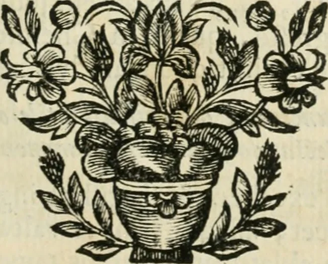 An illustration from Johannis Conradi Barchusen Elementa chemiae, quibius subjuncta est, Confectura lapidis philosophici, imaginibus repraesentata, 1718, leaf 148