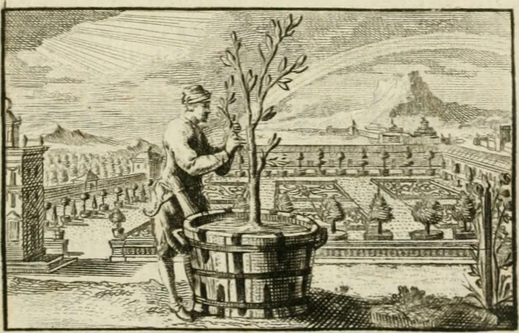 An illustration from Johannis Conradi Barchusen Elementa chemiae, quibius subjuncta est, Confectura lapidis philosophici, imaginibus repraesentata, 1718, leaf 4