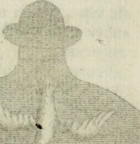 An illustration from Johannis Conradi Barchusen Elementa chemiae, quibius subjuncta est, Confectura lapidis philosophici, imaginibus repraesentata, 1718, leaf 551