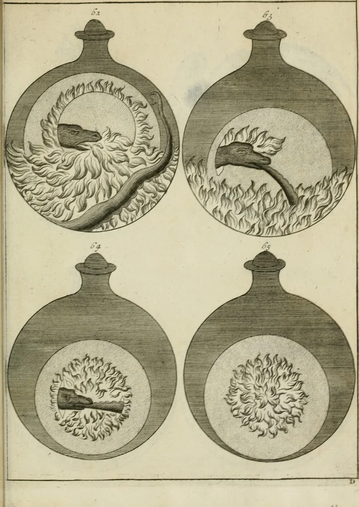 An illustration from Johannis Conradi Barchusen Elementa chemiae, quibius subjuncta est, Confectura lapidis philosophici, imaginibus repraesentata, 1718, leaf 572