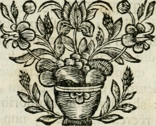 An illustration from Johannis Conradi Barchusen Elementa chemiae, quibius subjuncta est, Confectura lapidis philosophici, imaginibus repraesentata, 1718, leaf 65